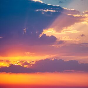 A Biodynamic View of Osteopathy in the Cranial Field – Fase 6